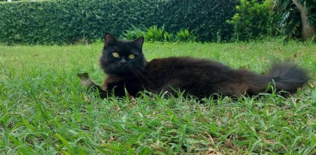 avilinax actriz erótica foto