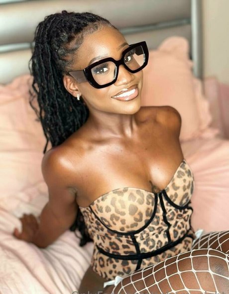 sahara night buen modelo recopilación