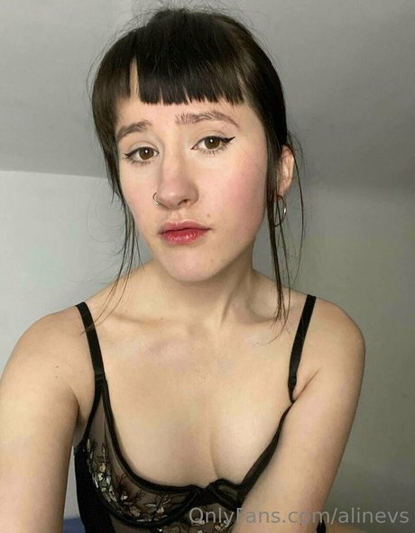 alinevs estrella de alta calidad galería