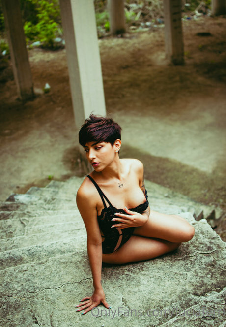 solo fans de verdaderos profesores adulto recopilación