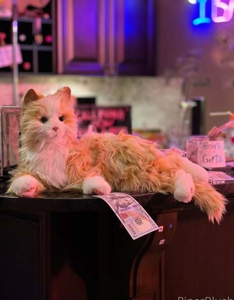 piperblushfree modelo erótico galerías