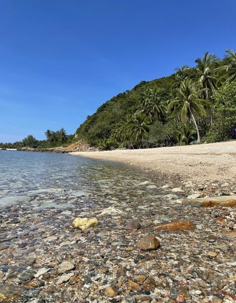 asianfantasyx linda estrella imagen