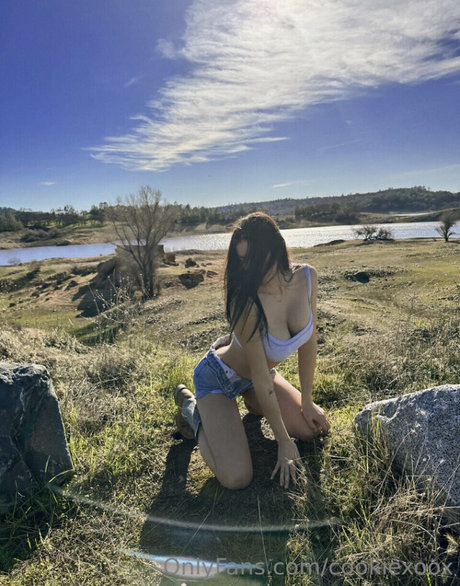 Bri Cookie estrella porno gratis imágenes