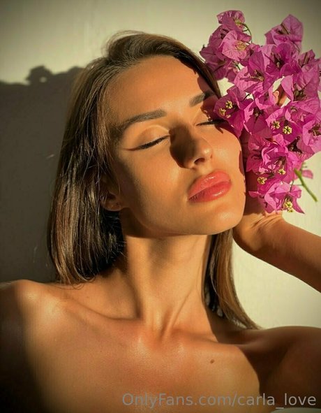 onlyfans promedio desnudo superior imágenes