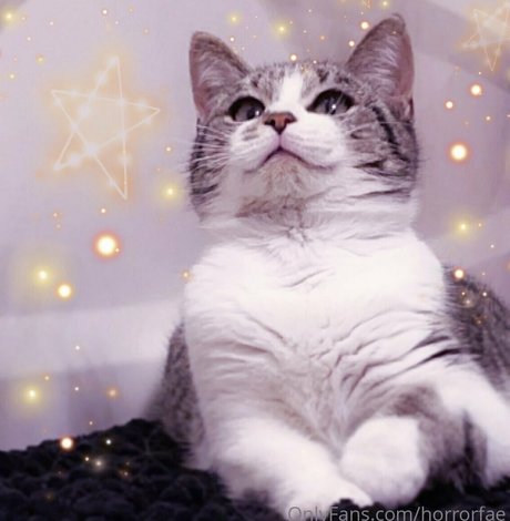 lewdfaerie mejor modelo recopilación