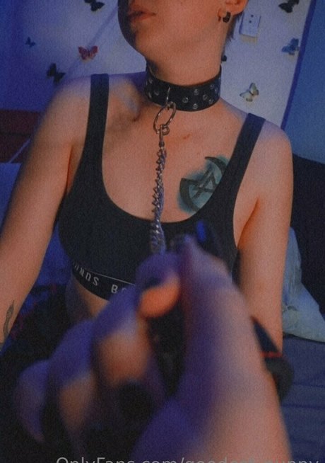 goodest puppy modelo perfecto foto