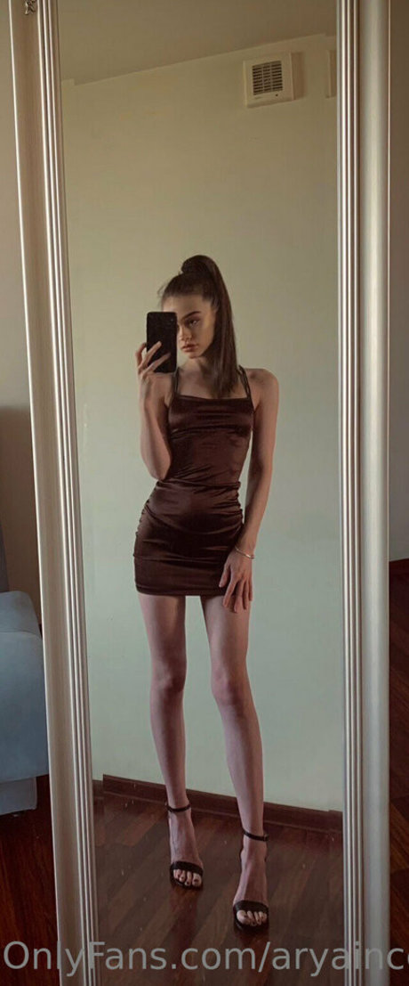 aryaincollege modelo gratis imagen