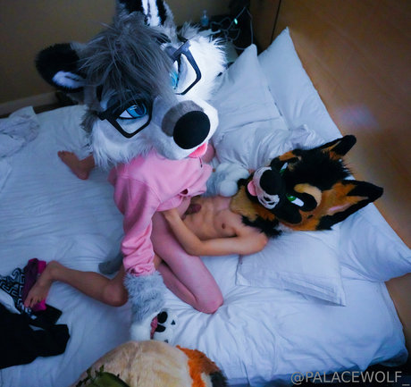 palacewolf modelo hermosa recopilación