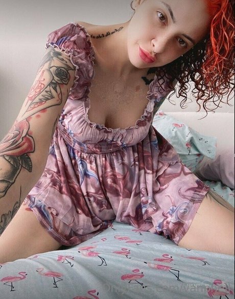 vanphell Fotoaufnahmen