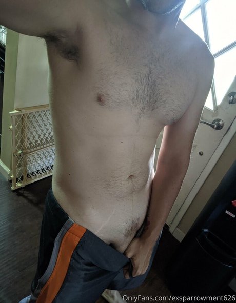 exsparrowment626 estrella superior imagen