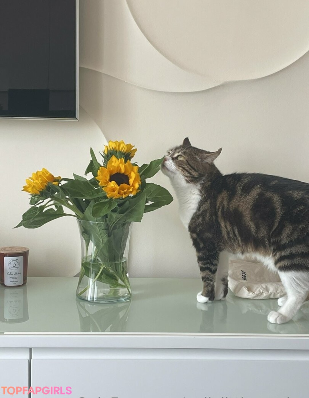 pollylittlecaprice actriz desnuda fotos