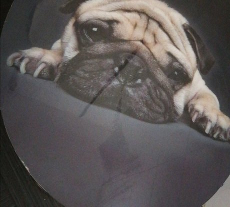 rubia masturbándose onlyfans hermosa parte superior galerías