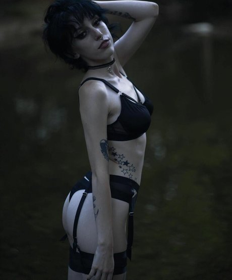 msliterate modelo hd recopilación