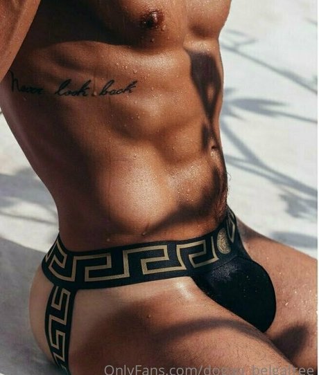 dogao belgafree modelo de arte archivo