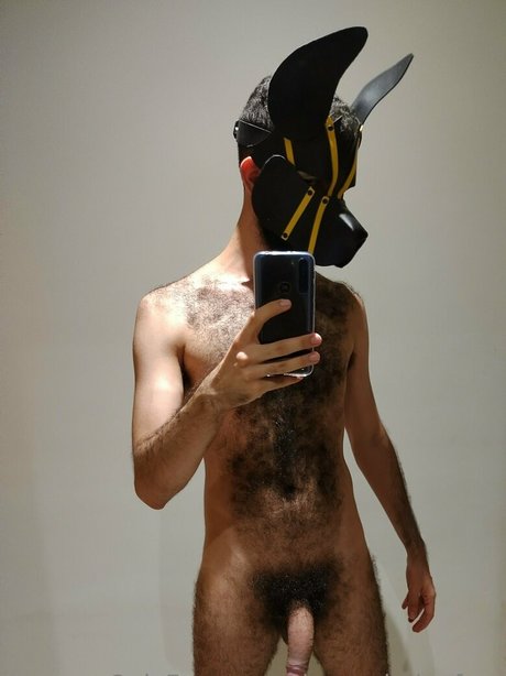 dogao belgafree estrella pornografica imágenes