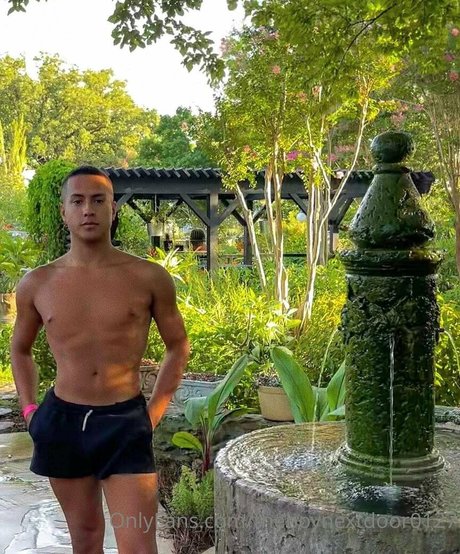 officailarq mejor modelo galería