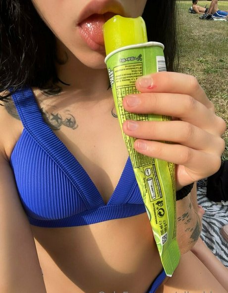 Ally Alden modelo superior imagen