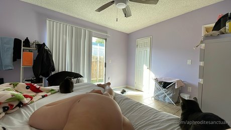 ACJ bonita estrella porno recopilación