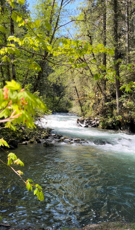 Aelarose actriz desnuda archivo