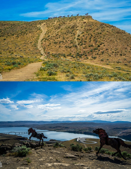 Aelarose desnudos estrella porno galería