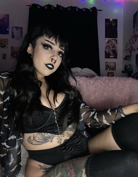 spookybeanfree estrella agradable galerías