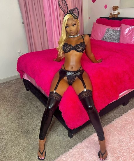 Daalischus buen modelo foto