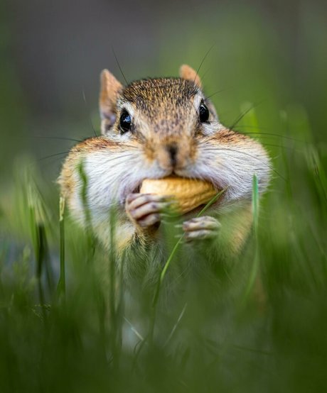 fatsackfails estrella erótica recopilación