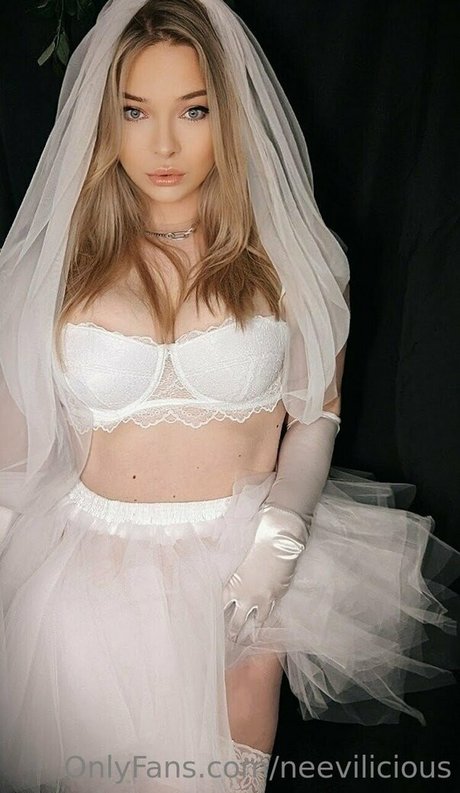 neevilicious libre de estrellas archivo