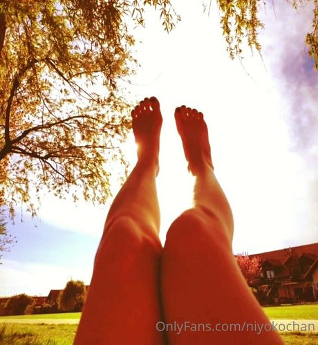 niyokochan estrella de alta calidad foto