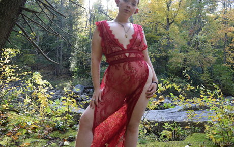 sluttubus arte estelar fotos