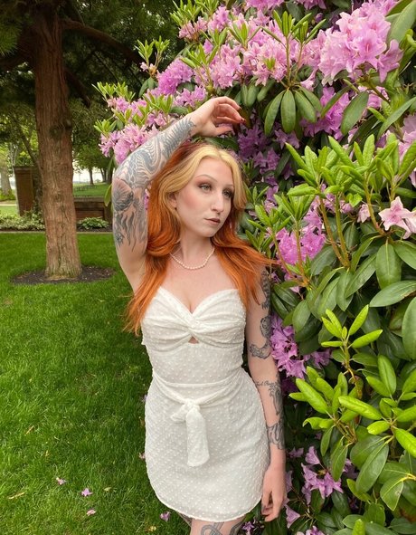 Morgan Adams Fotoaufnahmen