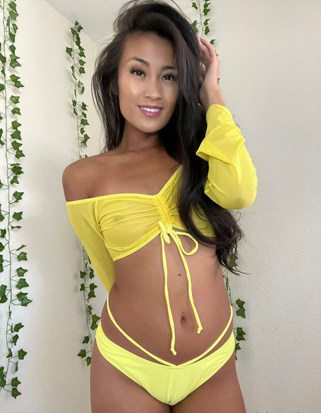 sunshinesina modelo de arte recopilación