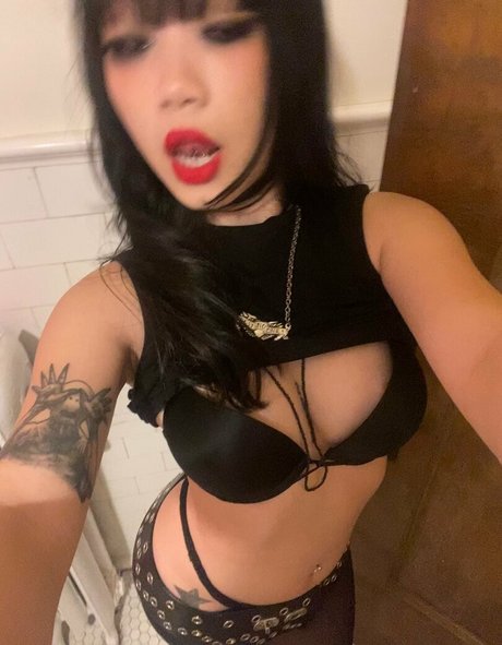 Vile922 estrella hermosa recopilación