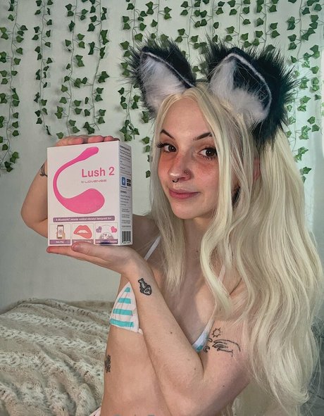 youkittenme estrella de alta calidad galerías