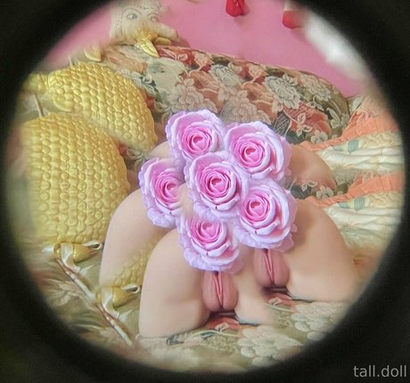 tall doll actriz libre recopilación