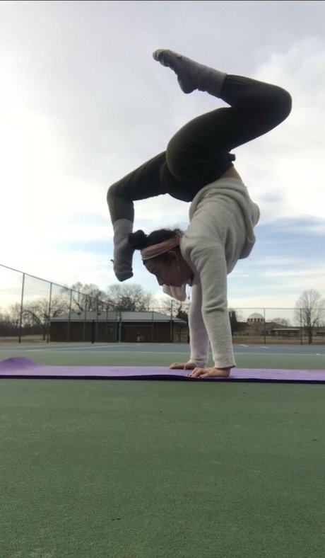 flexiblefun estrella del arte galerías