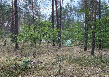 redkittyonly estrella porno gratis galería