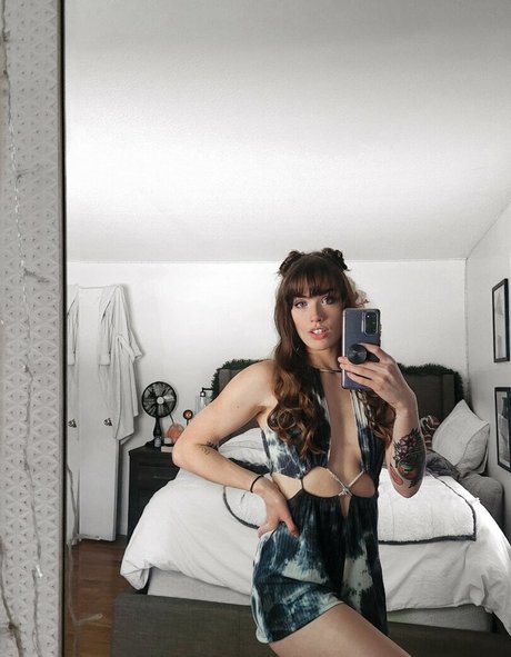 bundaddy estrella del arte imágenes