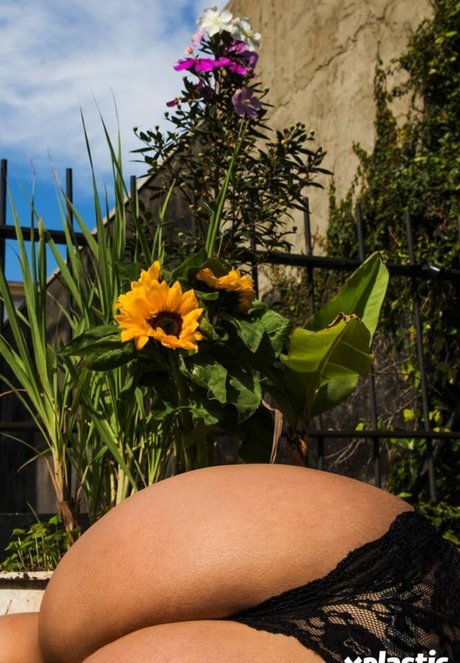 Debora Porto desnudos de modelos recopilación