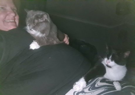 abigailbarrybbw buena actriz galerías