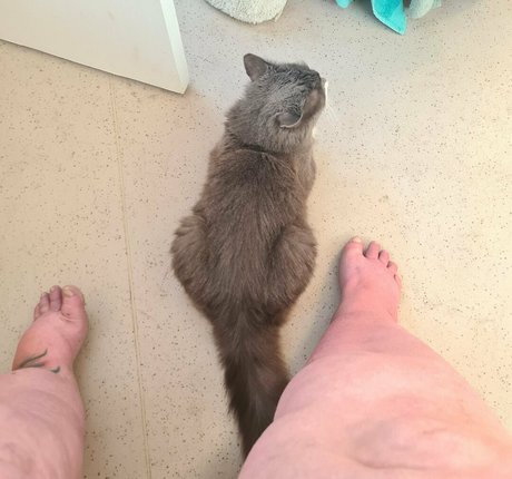 abigailbarrybbw actriz libre galería