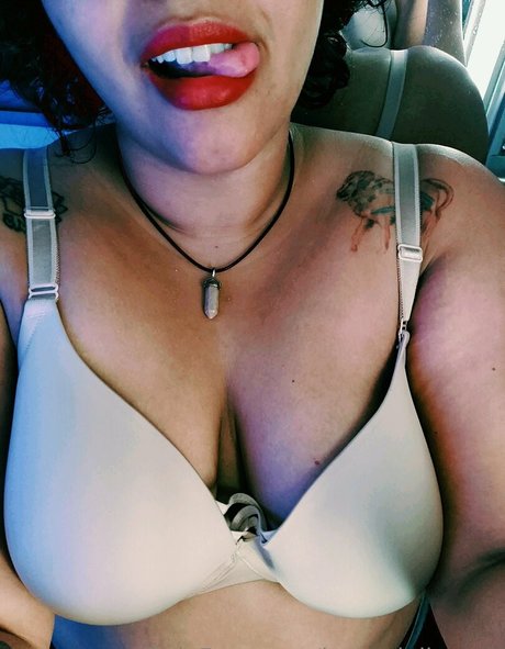 leonadelioness libre de estrellas recopilación