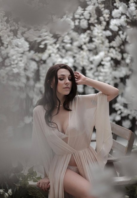 dear dear iris estrella perfecta galería