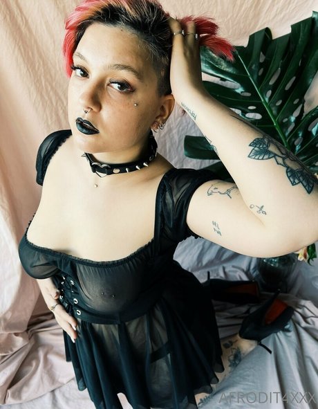 afrodit4x actriz de arte recopilación