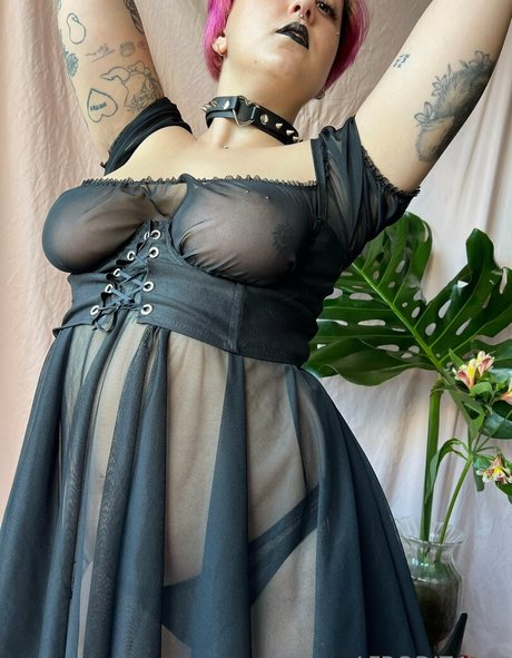 afrodit4x estrella perfecta galería