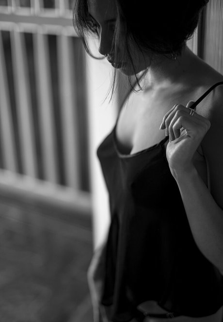 Gatas De Goiania estrella agradable imágenes