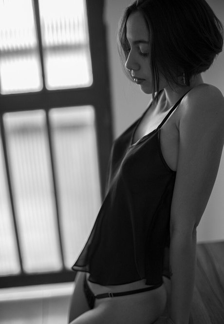 Gatas De Goiania estrella atractiva galerías