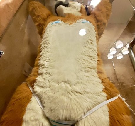 Murrsuit estrella erótica archivo