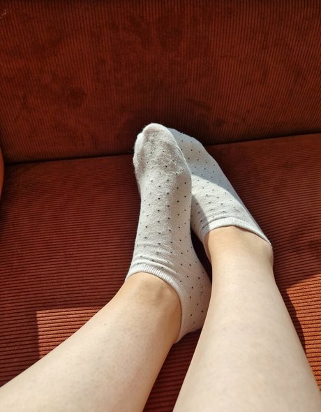 favlibrarian libre de estrellas imagen