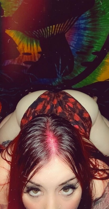 paradox 5683 estrella sexy archivo